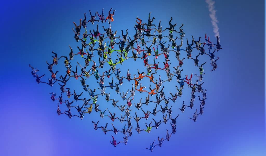 Large group of skydivers forms a coordinated head-down formation during a vertical formation skydiving record attempt.